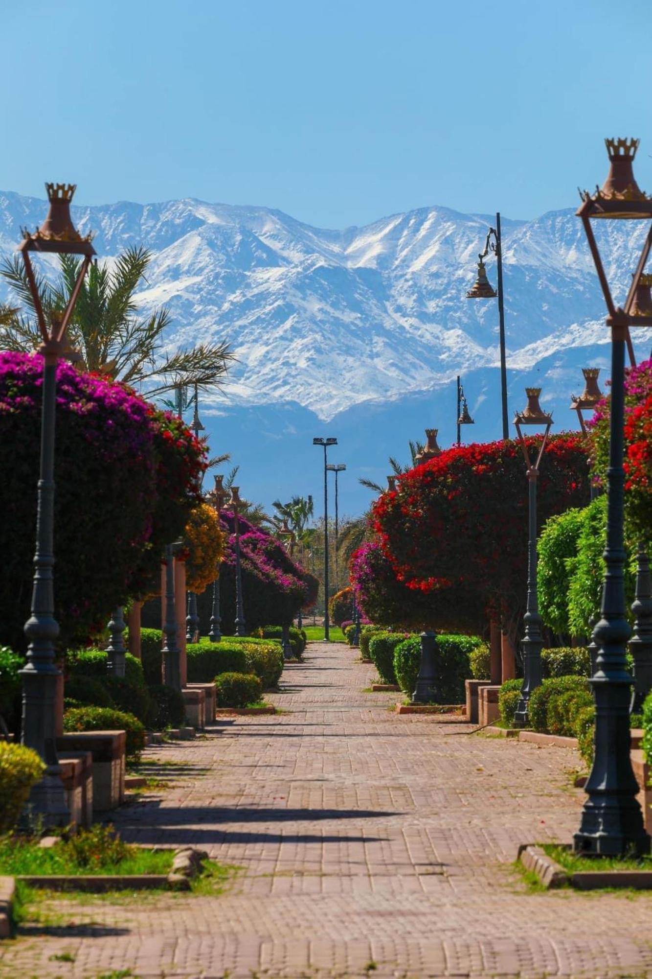 Riad Majestic Marrakech Marrakesh Exterior foto