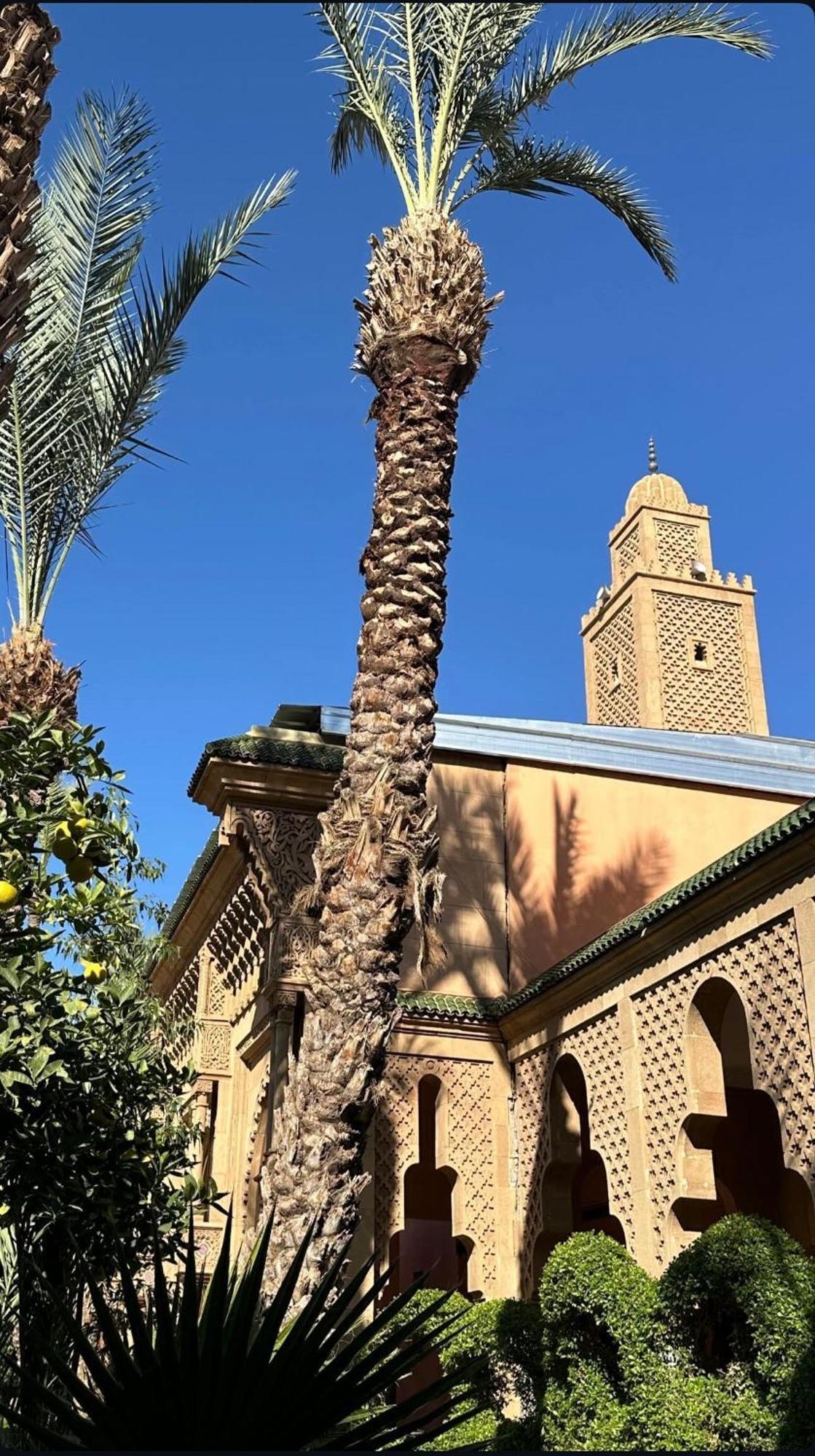 Riad Majestic Marrakech Marrakesh Exterior foto